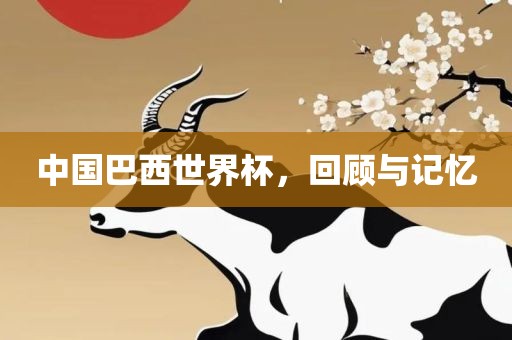 中国巴西世界杯，回顾与记忆