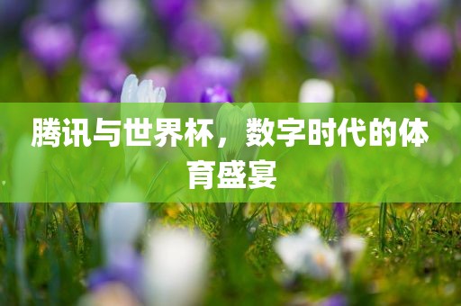 腾讯与世界杯，数字时代的体育盛宴