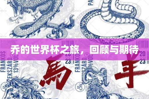 乔的世界杯之旅，回顾与期待