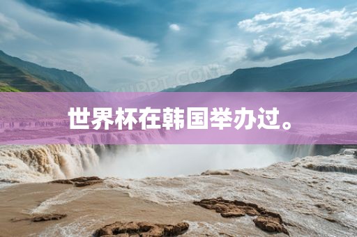 世界杯在韩国举办过。