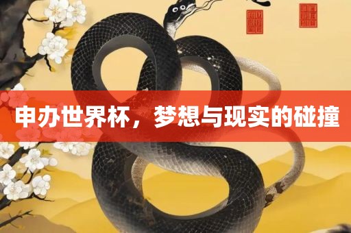 申办世界杯，梦想与现实的碰撞