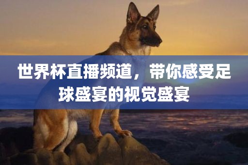 世界杯直播频道，带你感受足球盛宴的视觉盛宴