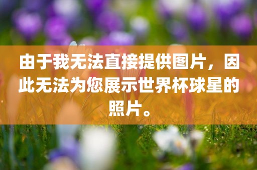 由于我无法直接提供图片，因此无法为您展示世界杯球星的照片。