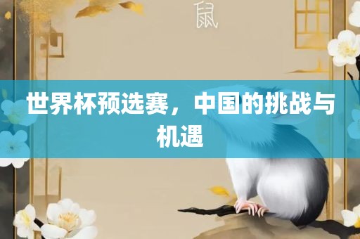 世界杯预选赛，中国的挑战与机遇