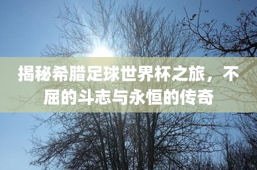 揭秘希腊足球世界杯之旅，不屈的斗志与永恒的传奇