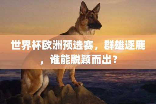 世界杯欧洲预选赛，群雄逐鹿，谁能脱颖而出？