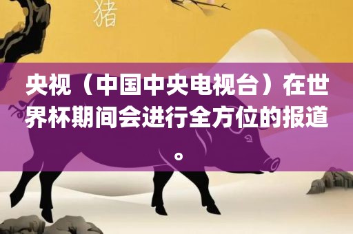 央视（中国中央电视台）在世界杯期间会进行全方位的报道。