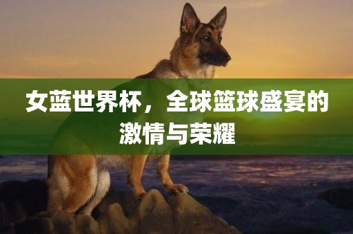 女蓝世界杯，全球篮球盛宴的激情与荣耀