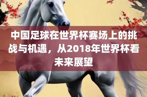 中国足球在世界杯赛场上的挑战与机遇，从2018年世界杯看未来展望
