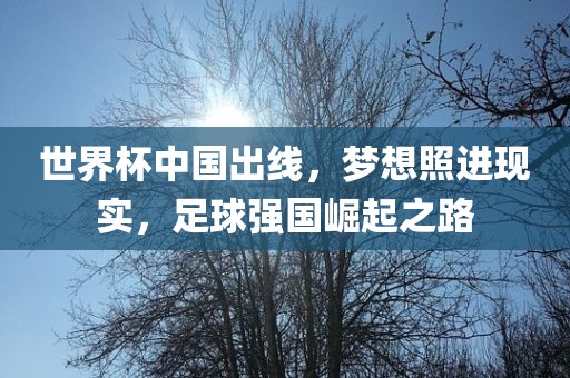 世界杯中国出线，梦想照进现实，足球强国崛起之路