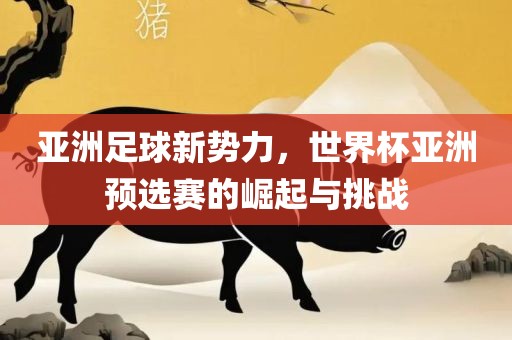 亚洲足球新势力，世界杯亚洲预选赛的崛起与挑战