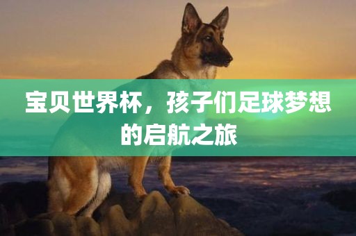宝贝世界杯，孩子们足球梦想的启航之旅
