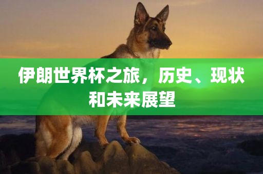 伊朗世界杯之旅，历史、现状和未来展望