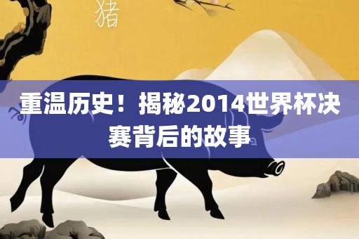 重温历史！揭秘2014世界杯决赛背后的故事
