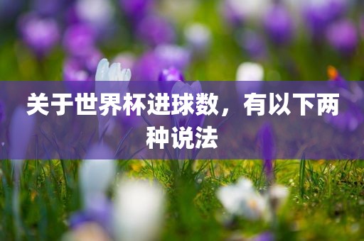 关于世界杯进球数，有以下两种说法