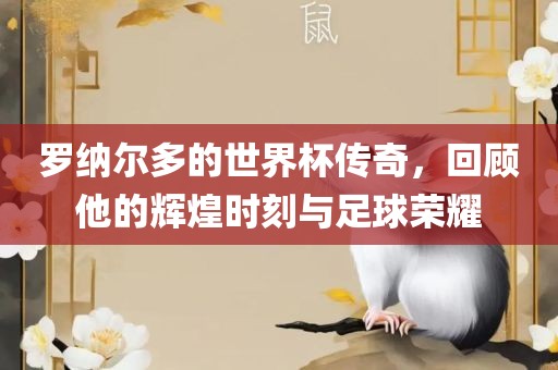 罗纳尔多的世界杯传奇，回顾他的辉煌时刻与足球荣耀