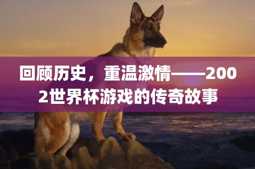 回顾历史，重温激情——2002世界杯游戏的传奇故事