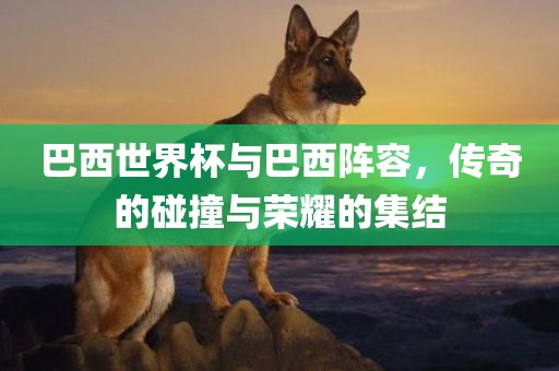 巴西世界杯与巴西阵容，传奇的碰撞与荣耀的集结