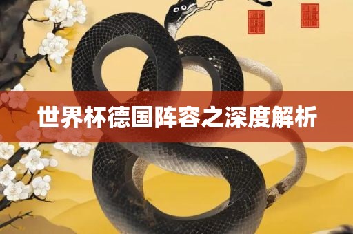 世界杯德国阵容之深度解析