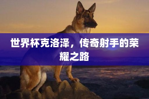 世界杯克洛泽，传奇射手的荣耀之路