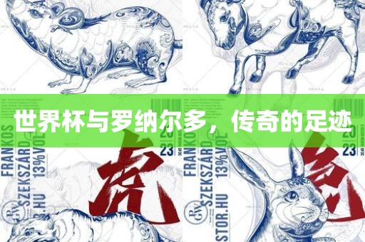 世界杯与罗纳尔多，传奇的足迹