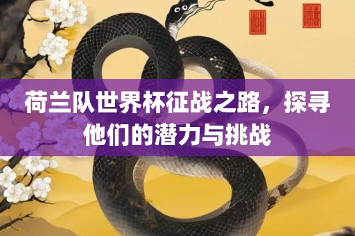 荷兰队世界杯征战之路，探寻他们的潜力与挑战