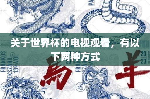 关于世界杯的电视观看，有以下两种方式