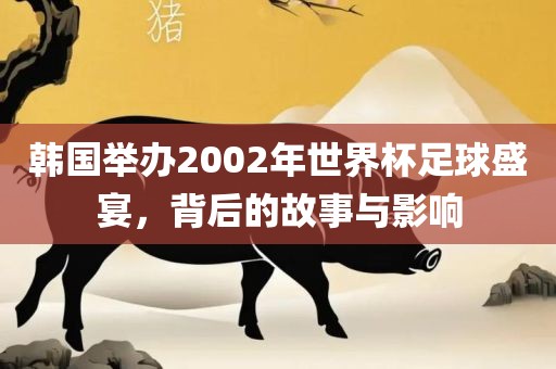韩国举办2002年世界杯足球盛宴，背后的故事与影响