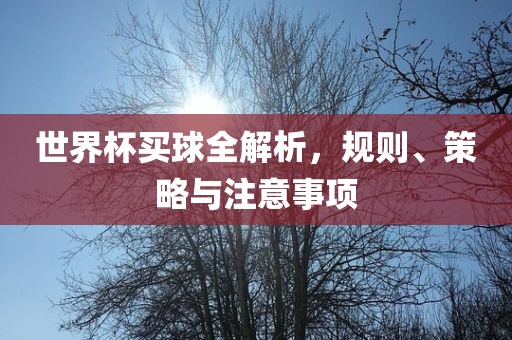 世界杯买球全解析，规则、策略与注意事项