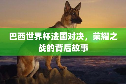 巴西世界杯法国对决，荣耀之战的背后故事