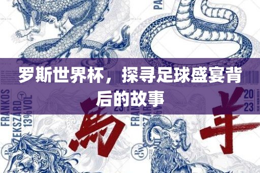 罗斯世界杯，探寻足球盛宴背后的故事