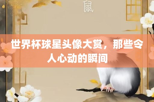 世界杯球星头像大赏，那些令人心动的瞬间