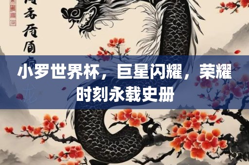 小罗世界杯，巨星闪耀，荣耀时刻永载史册