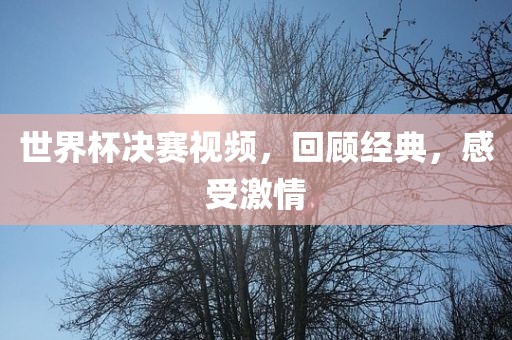 世界杯决赛视频，回顾经典，感受激情