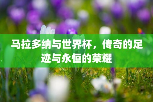 马拉多纳与世界杯，传奇的足迹与永恒的荣耀