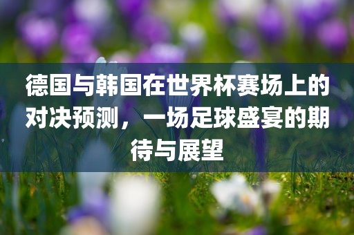德国与韩国在世界杯赛场上的对决预测，一场足球盛宴的期待与展望