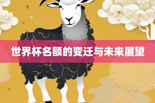 世界杯名额的变迁与未来展望