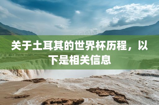 关于土耳其的世界杯历程，以下是相关信息