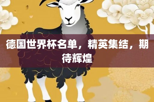 德国世界杯名单，精英集结，期待辉煌