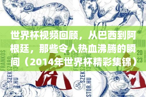 世界杯视频回顾，从巴西到阿根廷，那些令人热血沸腾的瞬间（2014年世界杯精彩集锦）