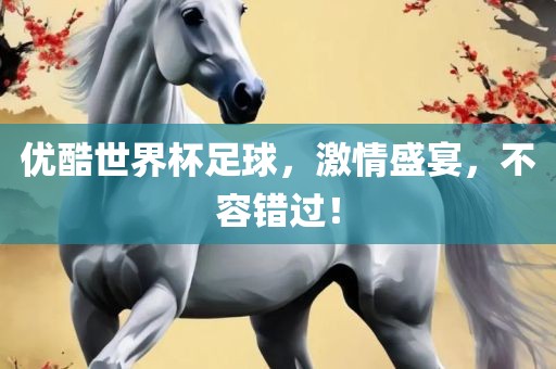 优酷世界杯足球，激情盛宴，不容错过！