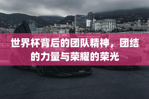 世界杯背后的团队精神，团结的力量与荣耀的荣光