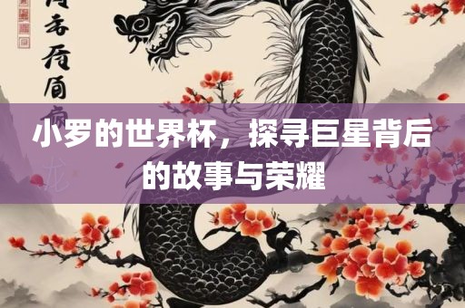 小罗的世界杯，探寻巨星背后的故事与荣耀