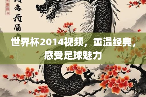 世界杯2014视频，重温经典，感受足球魅力