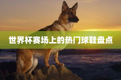 世界杯赛场上的热门球鞋盘点