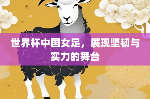 世界杯中国女足，展现坚韧与实力的舞台