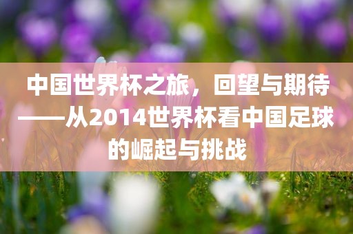 中国世界杯之旅，回望与期待——从2014世界杯看中国足球的崛起与挑战