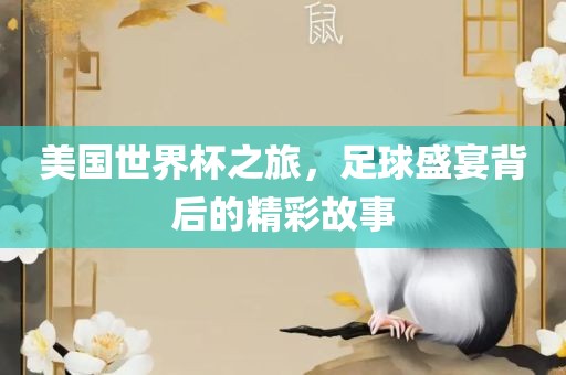 美国世界杯之旅，足球盛宴背后的精彩故事