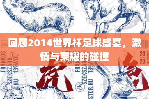 回顾2014世界杯足球盛宴，激情与荣耀的碰撞