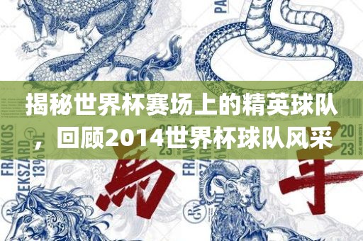 揭秘世界杯赛场上的精英球队，回顾2014世界杯球队风采